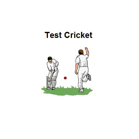 Cricket insane